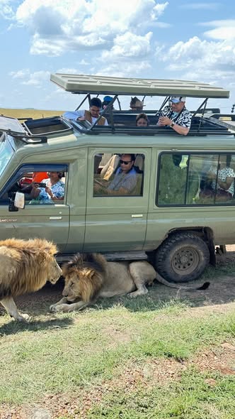 Ultimate 3 Days Serengeti Luxury Christmas Holiday 2026, 2027 & 2028