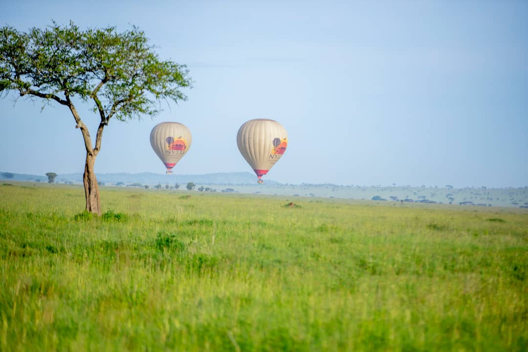 Best Kenya and Tanzania combined safari package