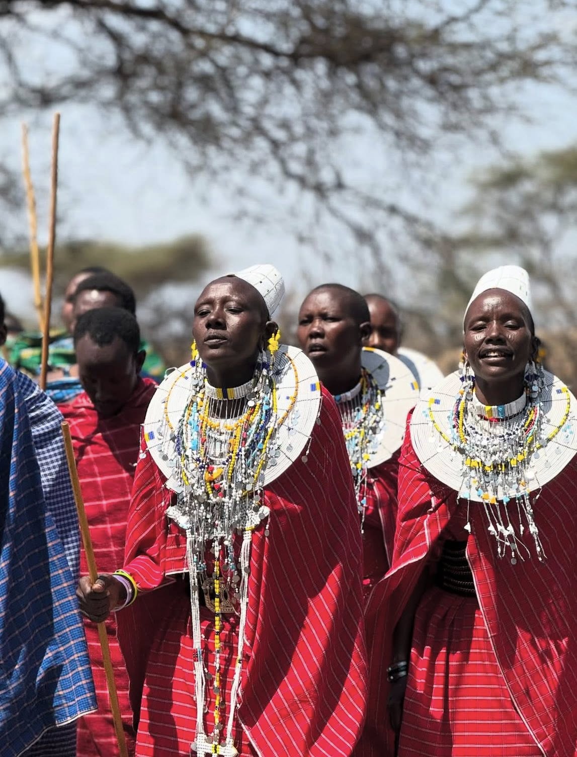 Kenya safari