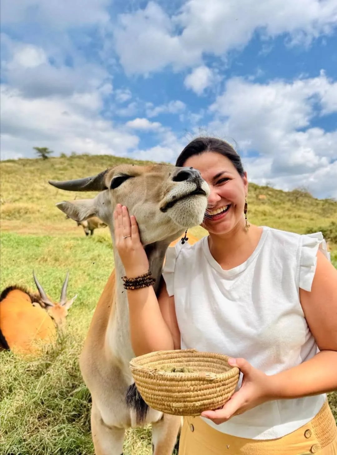 Best Kenya and Rwanda combined safari packages