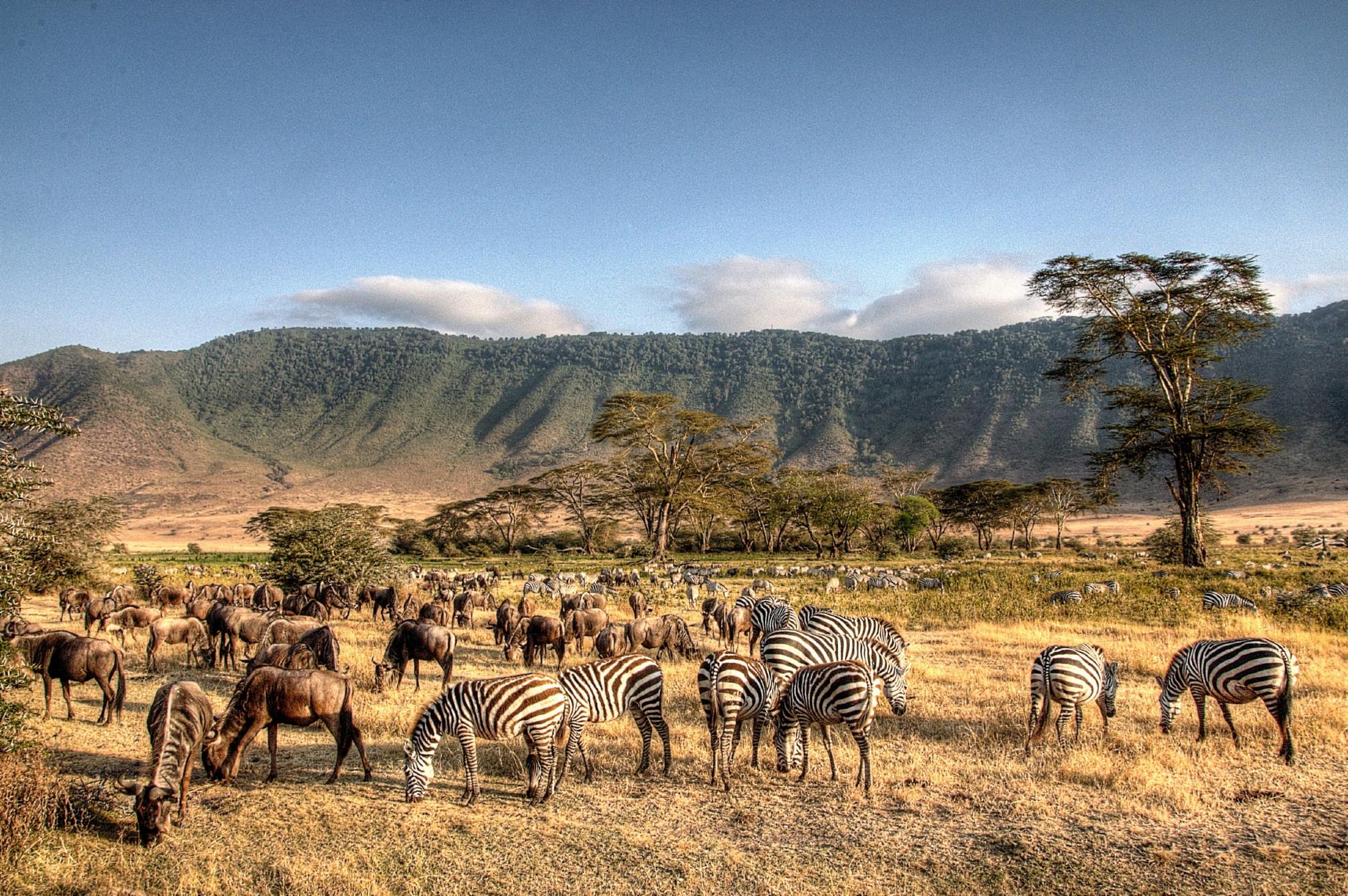 best 8 Days Serengeti Safari and Zanzibar Beach Holiday 2026, 2027 & 2028