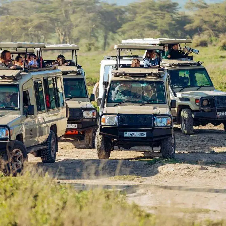 unforgettable Kenya and Rwanda safari packages