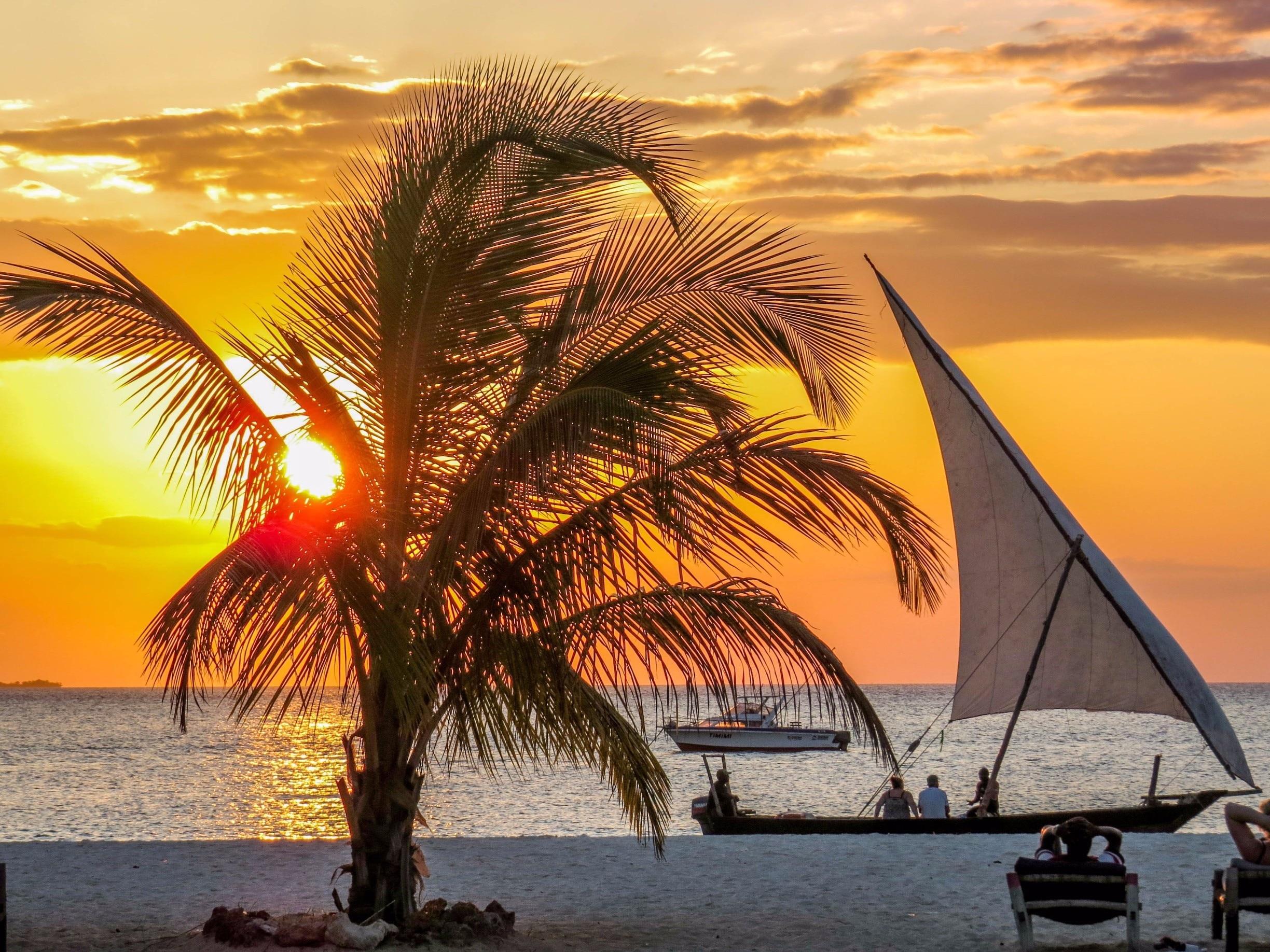 best 8 Days Serengeti Safari and Zanzibar Beach Holiday 2026, 2027 & 2028